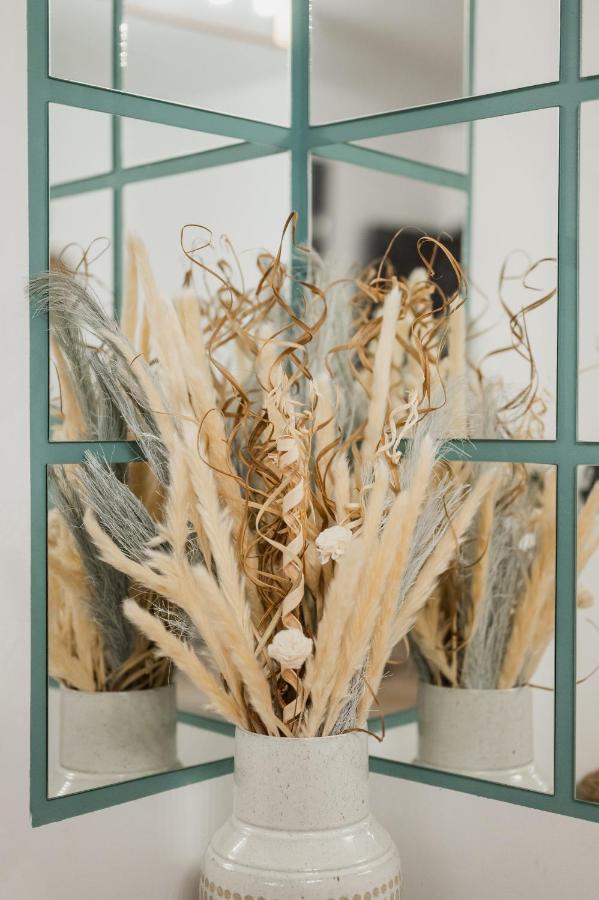 Cozee Studio - In Inima Brasovului 外观 照片