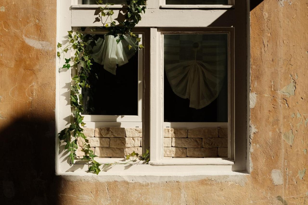 Cozee Studio - In Inima Brasovului 外观 照片