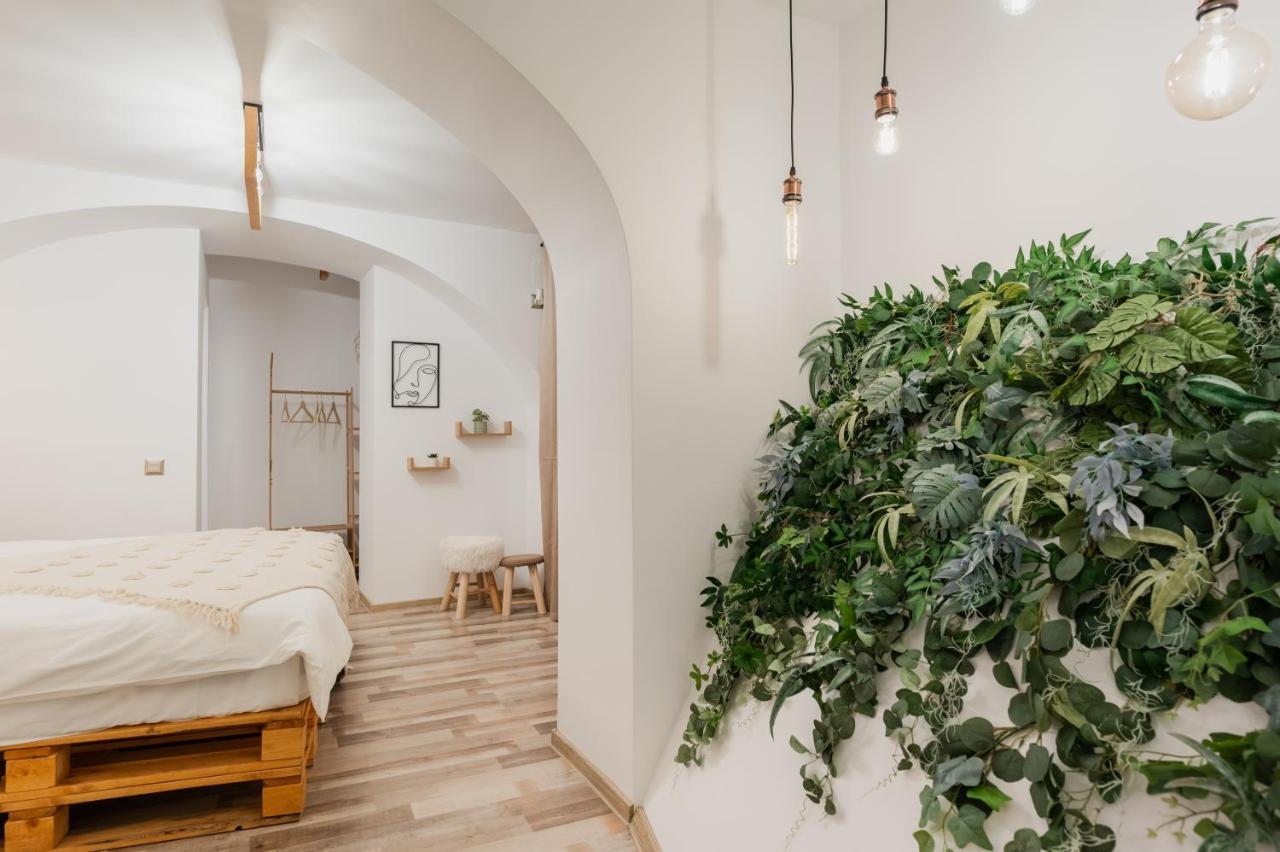 Cozee Studio - In Inima Brasovului 外观 照片