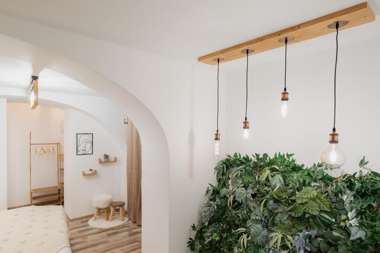 Cozee Studio - In Inima Brasovului 外观 照片